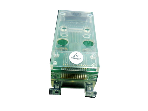CCNM-050-26